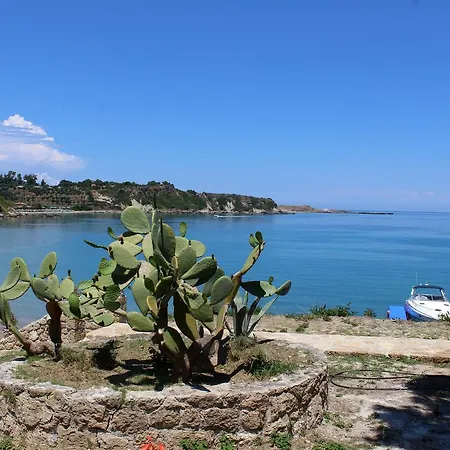 Zante Yliessa *